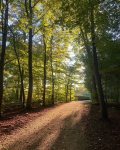 Idag var en god dag 🍂 Rigtig god efterårsferie 🍁🥰 Husk ikke at hold tilbage med løbe eller styrketræningen, men prøv min nye virksomhed Plussport Pro i 14 dage helt gratis 👇 www.Plussport.dk